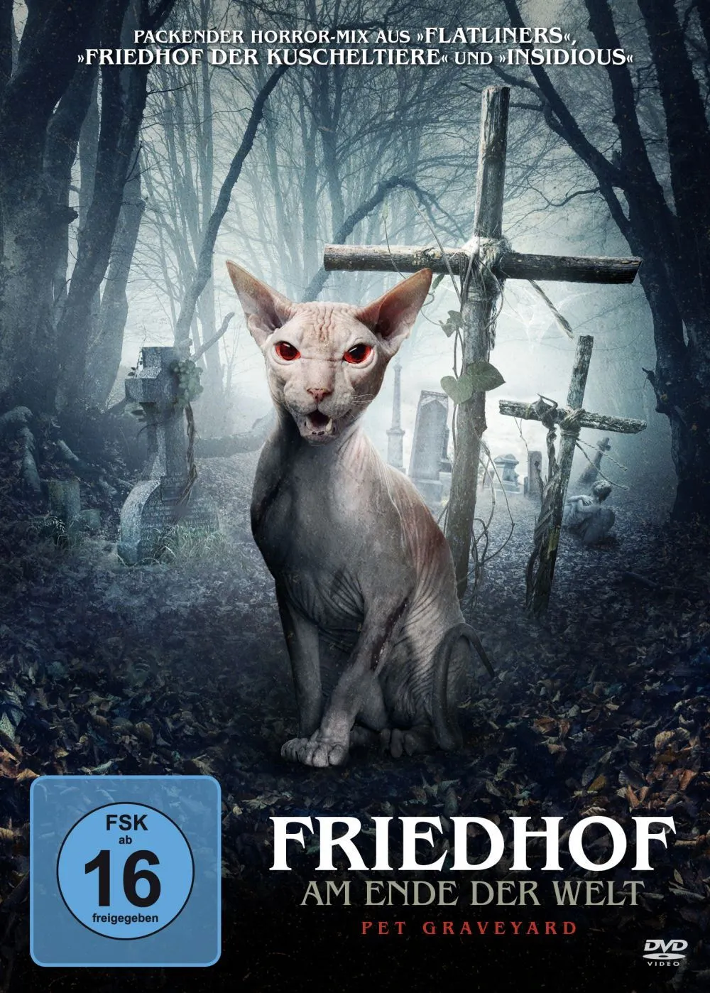Friedhof am Ende der Welt