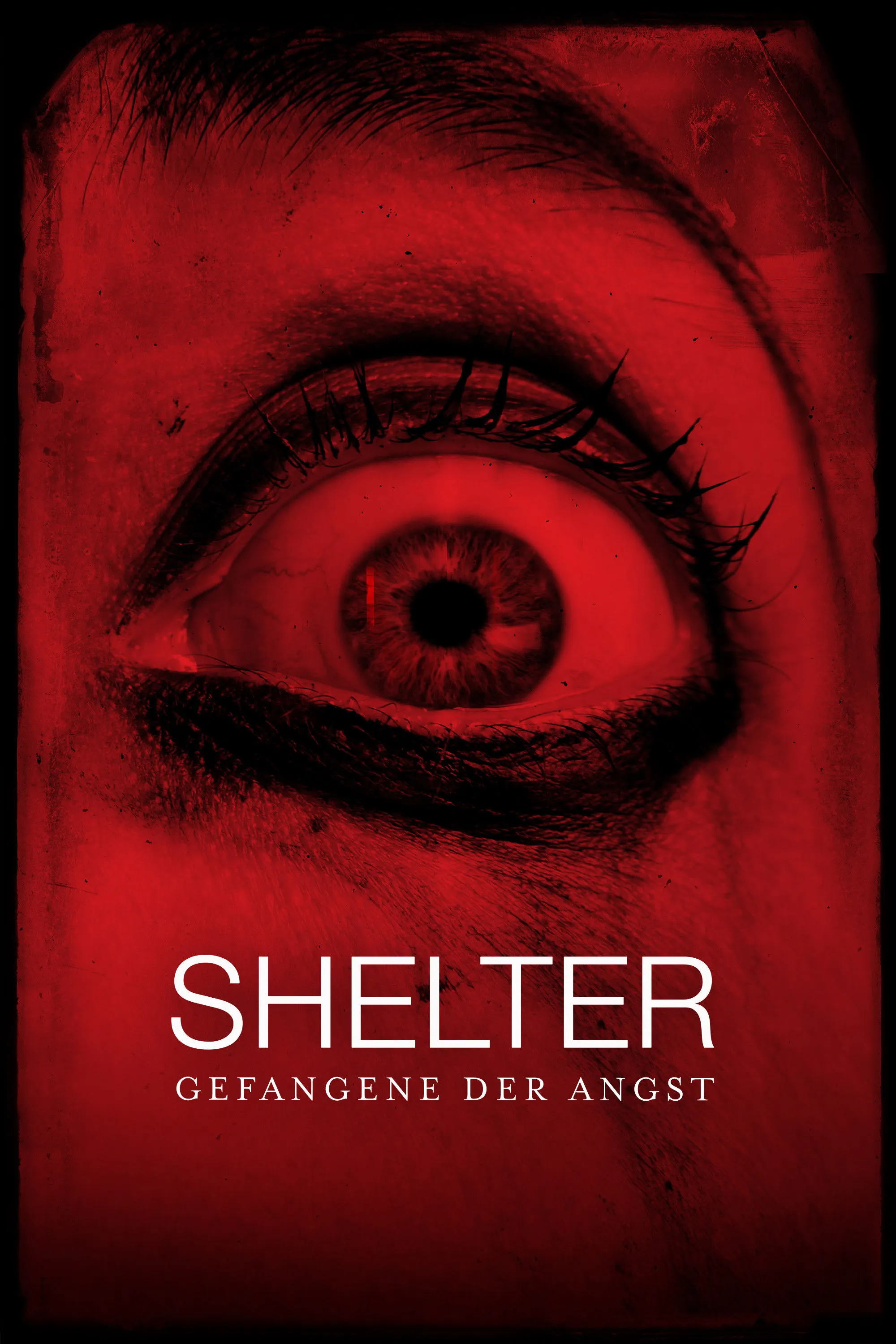 Shelter